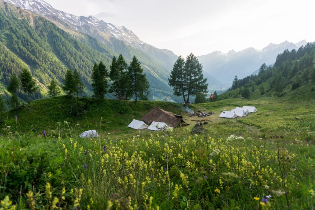 Dieses Bild zeigt ein Pfadi-Lager mit Zelten, das auf einer grünen Wiese in den Schweizer Bergen errichtet wurde.